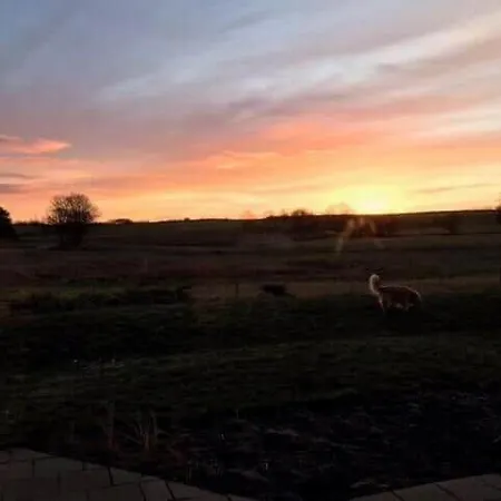 度假居 8014-knebel-rastestedet-16 克内贝尔