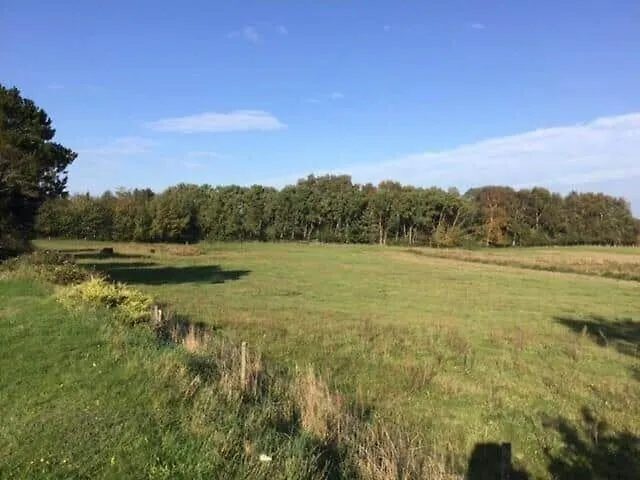 8014-knebel-rastestedet-16 * Knebel