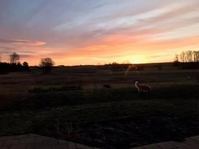 別荘 8014-knebel-rastestedet-16 Knebel